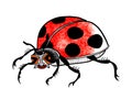 Funky ladybug character drawing. Raster illustration