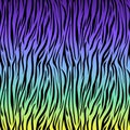 Funky Tiger Stripes Design