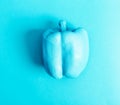 Funky vegetable painted pepper on a blue background