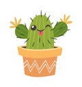 Funky winking cactus in pot Royalty Free Stock Photo