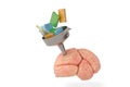 Funnel With Books adn the brain.3D illustration.
