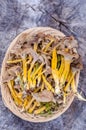 Funnel chanterelles Royalty Free Stock Photo