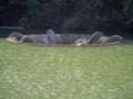 The funnel overflow at Vida Lake, Dobresti, Romania