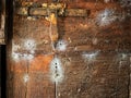 Funnelweb spider webs in old cellar. Royalty Free Stock Photo