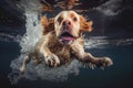 Funny active dog jumps into water underwater