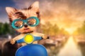 Dog on motorbike with travel background Royalty Free Stock Photo