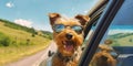 Funny Airedale Terrier Dog Travel Companion Sunglasses Leash and Summer Road Trip Adventure - Generative AI Royalty Free Stock Photo