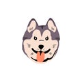 Funny Alaskan Malamute avatar. Amusing puppy of Siberian husky. Cute pup of sled dog show tongue. Happy doggy portrait