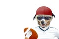 Funny american football rugby dog