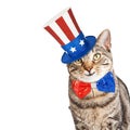 Funny American Patriotic Cat Royalty Free Stock Photo