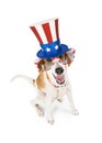 Funny American Patriotic Dog Royalty Free Stock Photo