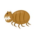 Funny angry flea. Pets parasite. Vector flat