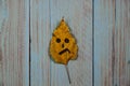 A funny angry smiley emoticon face drawn on a yellow golden leaf Royalty Free Stock Photo
