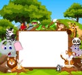 Funny animal cartoon with blank sign and forest background Royalty Free Stock Photo