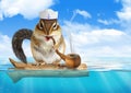 Funny animal chipmunk dressed sailor, floating ocean