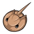 A cute brown horseshoe crab.