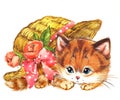 Funny animal Kitten. watercolor Royalty Free Stock Photo