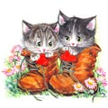 Funny animal Kitten. watercolor Royalty Free Stock Photo