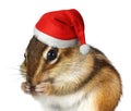 Funny animal with Santa Claus hat, Merry Christmas and Happy New
