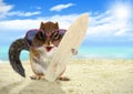 Funny animal squirrel with sunglasses and surfboard on the beach Royalty Free Stock Photo