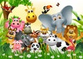Funny animal wildlife cartoon collection