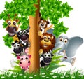 Funny animal wildlife cartoon collection
