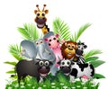 Funny animal wildlife cartoon collection