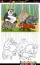 Funny animals cartoon coloring book