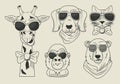 Funny animals with sunglasses cool style