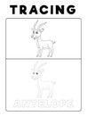 Funny Antelope Deer Animal Tracing Book with Example. Preschool worksheet for practicing fine motor skill. Vector Cartoon