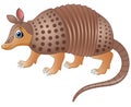 Funny armadillo cartoon Royalty Free Stock Photo