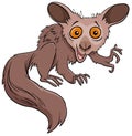 Funny aye-aye cartoon wild animal character