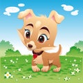Funny Baby Dog in the meadow