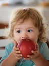 Funny baby eat apple. Kid eating fruit. Little boy biting apple. Healthy nutrition for kids. Solid food for infant Royalty Free Stock Photo