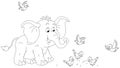 Funny baby elephant and merry small birds Royalty Free Stock Photo