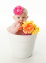 Funny baby girl in a flower pot eating daisies