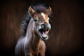funny baby laughing horse on dark blurred background