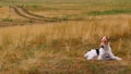 Resting dog in summer steppe Royalty Free Stock Photo