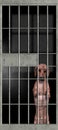 Funny Bad Naughty Dog, Jail, Dachshund Royalty Free Stock Photo