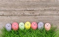 Funny bannies Easter eggs green grass wooden background