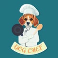 Funny beagle dog chef