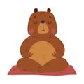 Funny Bear Animal on Yoga Mat Practicing Asana and Breathing Vector Illustration