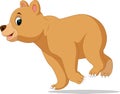 Funny bear Cartoon Royalty Free Stock Photo