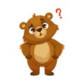 Funny Bear Cub with Cute Snout Ask Question Vector Illustration Royalty Free Stock Photo