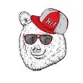 Funny bear with glasses and a cap. Vector illustration for a postcard or a poster, print for clothes. Hipster. Wild animal.