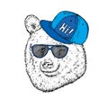 Funny bear with glasses and a cap. Vector illustration for a postcard or a poster, print for clothes. Hipster. Wild animal.