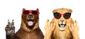 Funny bear and lion in sunglasses showing gestures