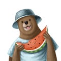 Funny bear with watermelon portrait, watercolor style illustration, summer clipart with cartoon character Royalty Free Stock Photo