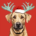 funny beautiful dog wearing christmas deer costume. cute cartoon dog wearing christmas deer costume