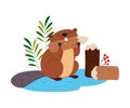 Funny Beaver Rodent as Forest Animal Gnawing WoodVector Illustration